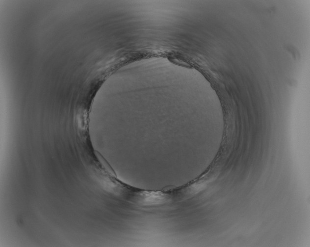 X0000112020528200909141038