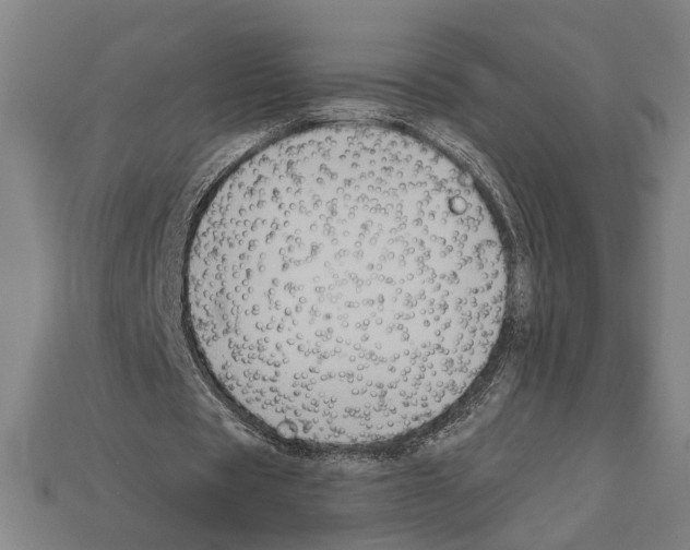 X0000112020529200909141038