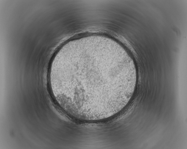 X0000112020530200909141038