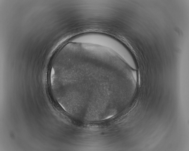 X0000112020531200909141038