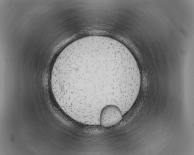 X0000112020533200909141038