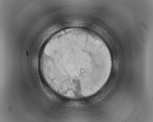 X0000112020534200909141038