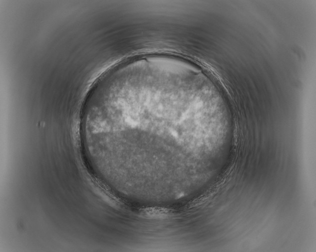 X0000112020535200909141038