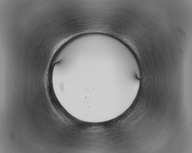 X0000112020536200909141038