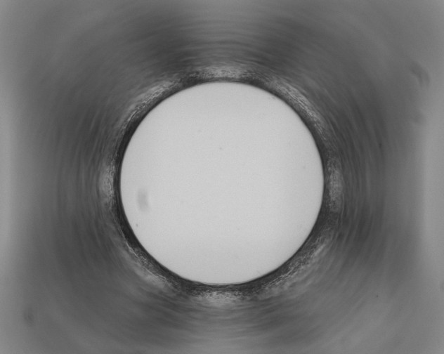 X0000112020537200909141038