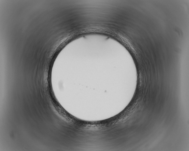 X0000112020538200909141038