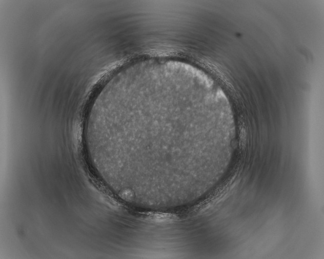 X0000112020539200909141038