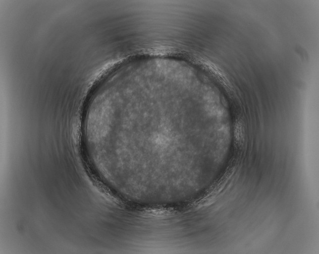 X0000112020540200909141038