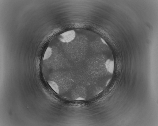 X0000112020542200909141038