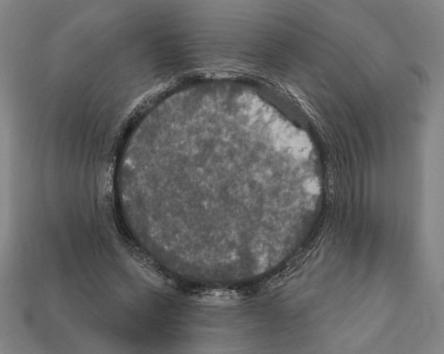 X0000112020543200909141038