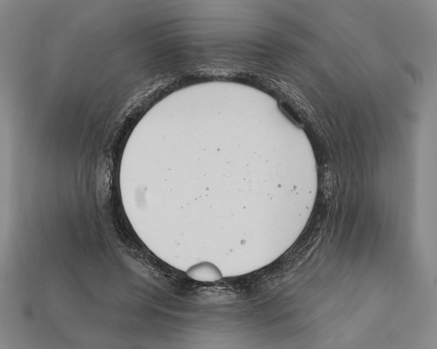 X0000112020544200909141038