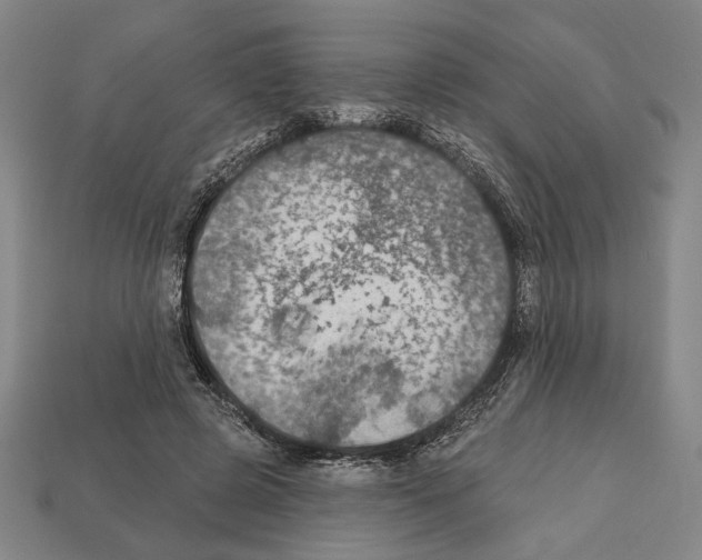 X0000112020545200909141038