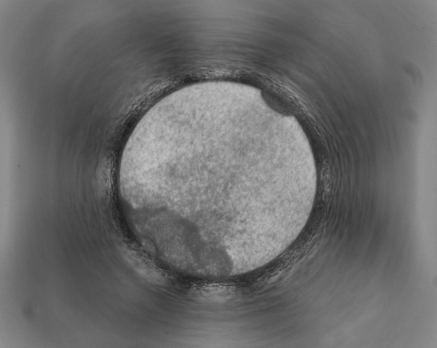 X0000112020546200909141038