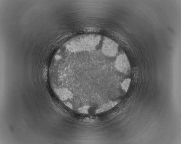 X0000112020550200909141038