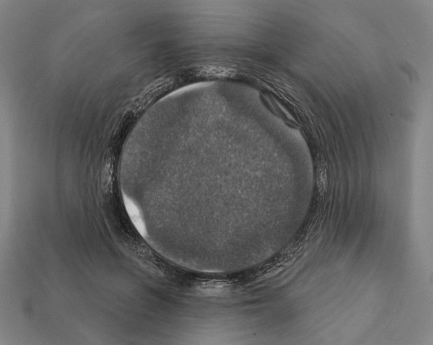 X0000112020551200909141038