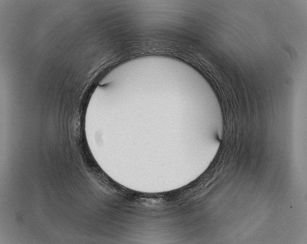 X0000112020552200909141038