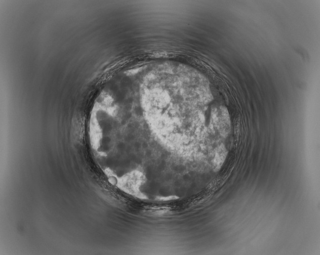 X0000112020554200909141038