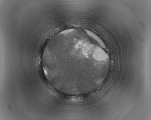 X0000112020555200909141038