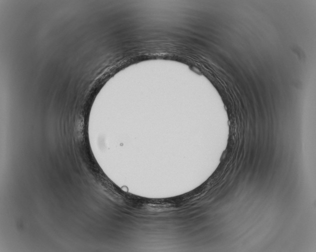 X0000112020556200909141038