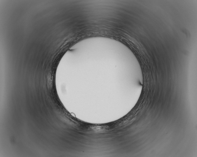 X0000112020558200909141038