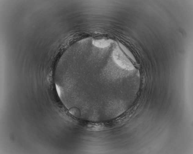 X0000112020559200909141038