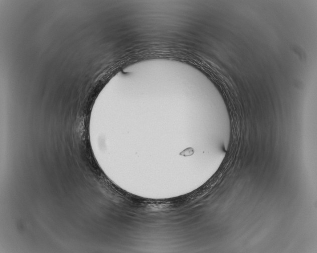 X0000112020560200909141038