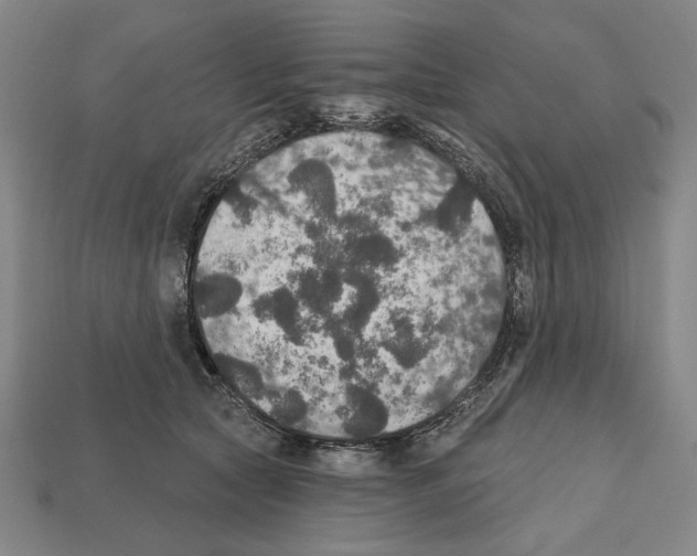 X0000112020561200909141038