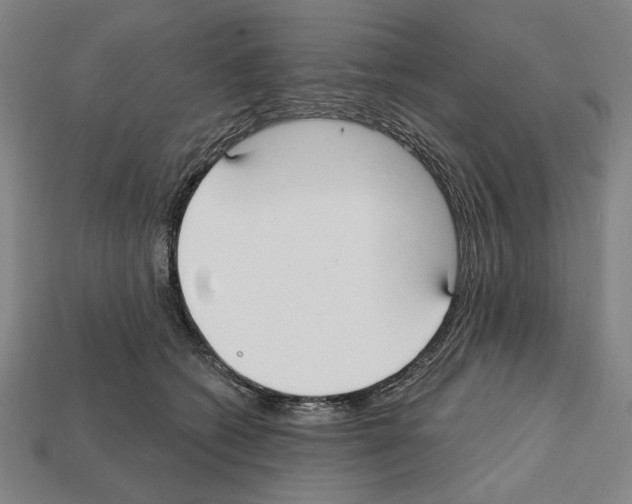 X0000112020562200909141038