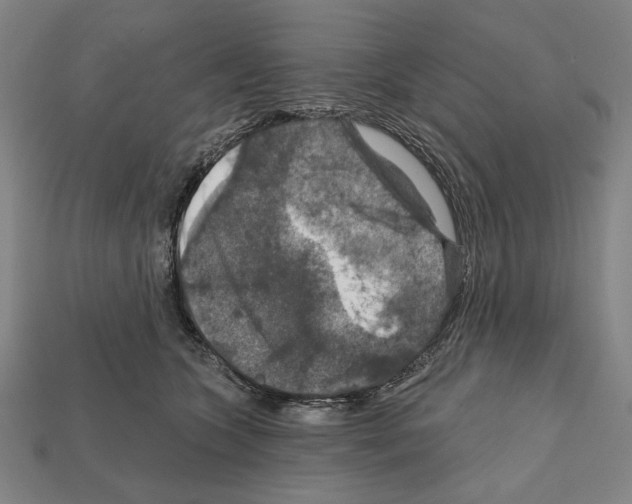 X0000112020563200909141038