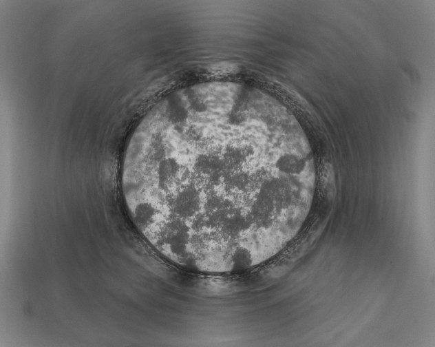 X0000112020565200909141038