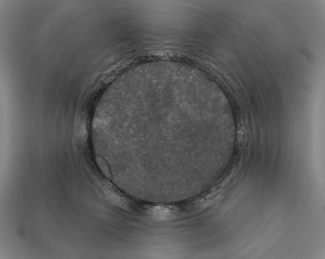 X0000112020566200909141038