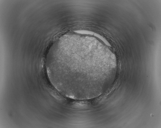 X0000112020567200909141038