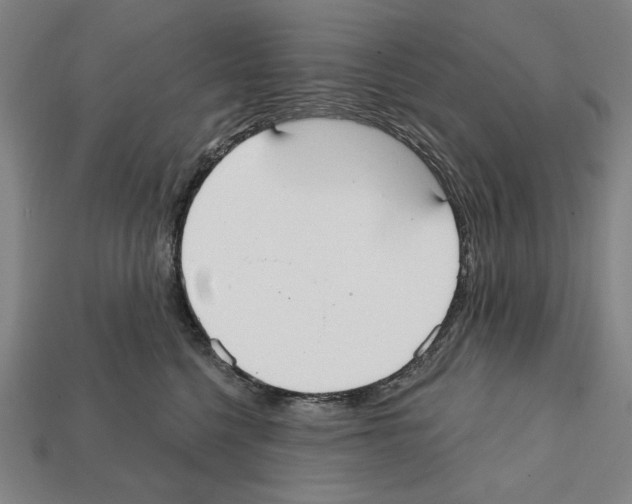 X0000112020568200909141038