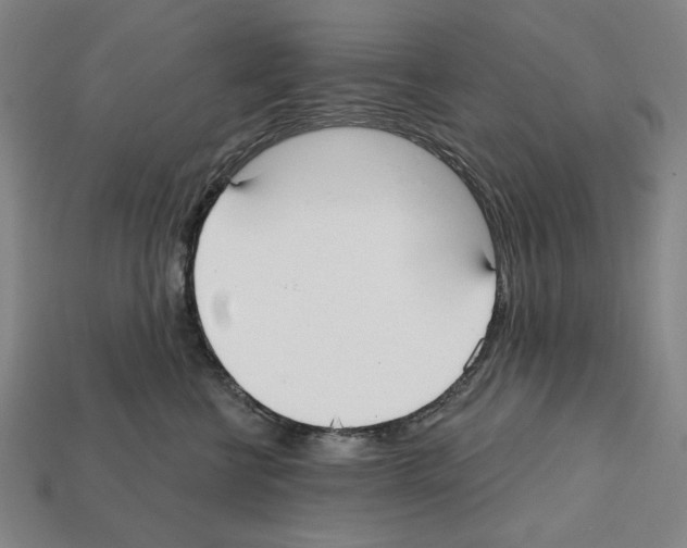 X0000112020570200909141038