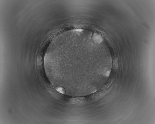 X0000112020571200909141038