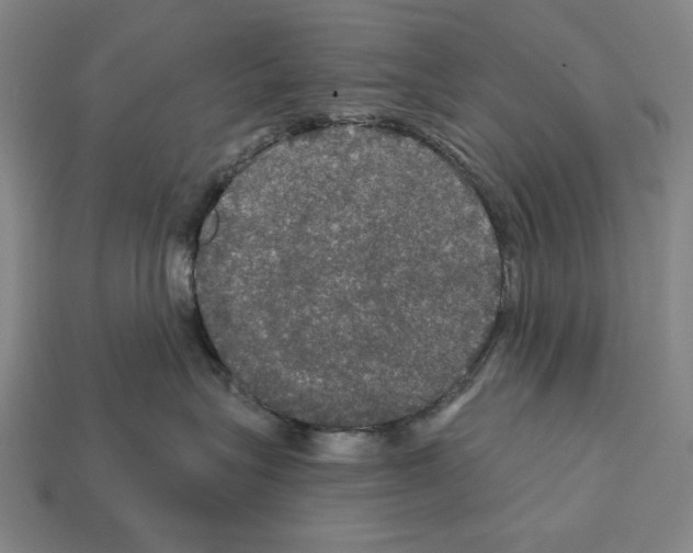 X0000112020575200909141038