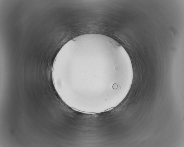 X0000112020576200909141038