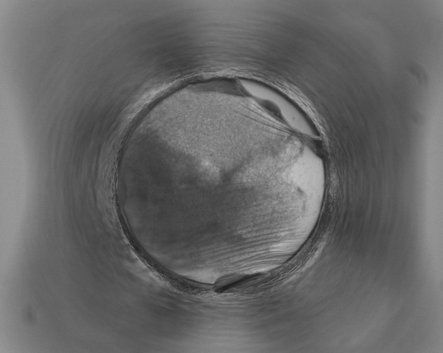 X0000112020577200909141038