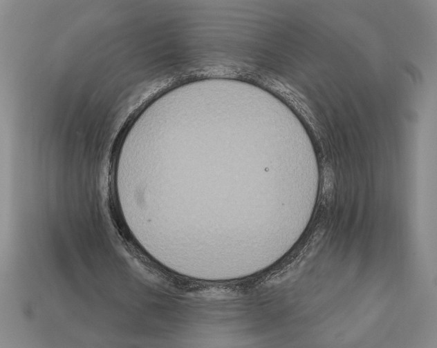 X0000112020578200909141038