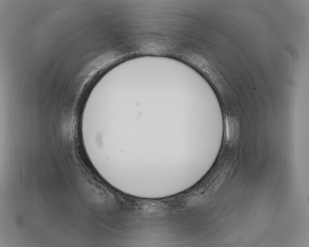 X0000112020579200909141038