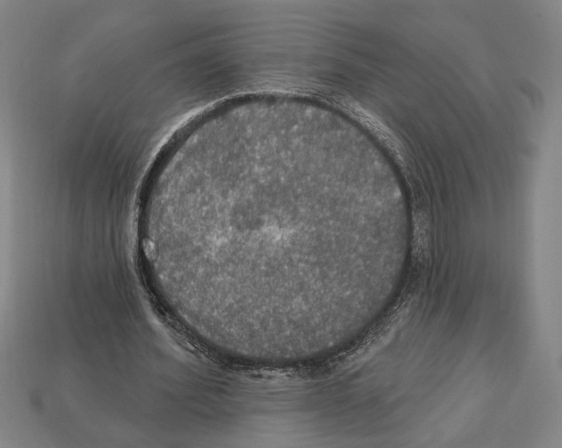 X0000112020580200909141038