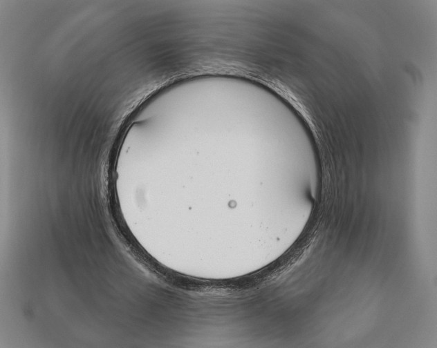 X0000112020581200909141038