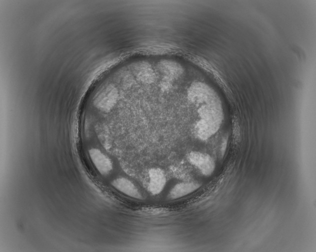 X0000112020582200909141037