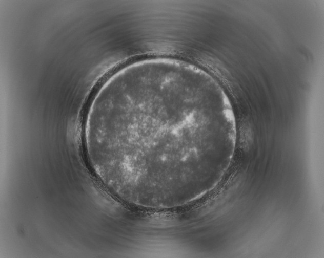 X0000112020584200909141037