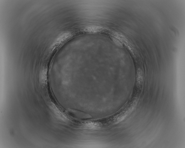 X0000112020585200909141037