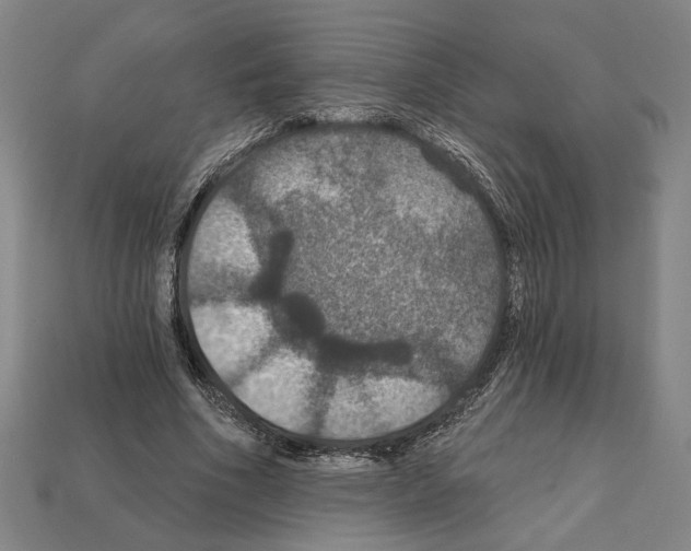 X0000112020586200909141037