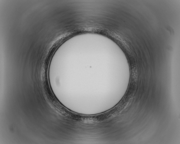 X0000112020587200909141037