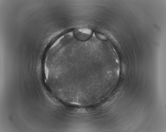 X0000112020588200909141037