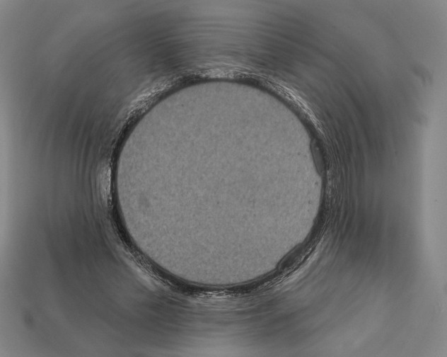 X0000112020589200909141037