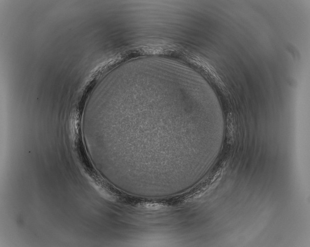 X0000112020590200909141037